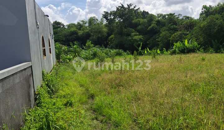 Buc Dijual Tanah 12 Are Shm Di Padonan-canggu.