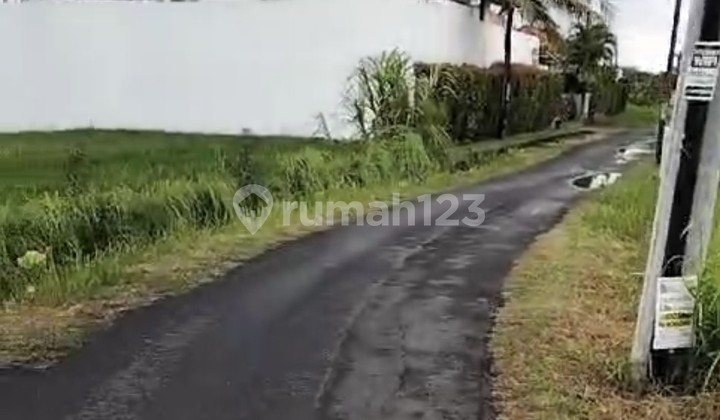 Dijual Tanah 31 ******** Di Cemagi- Beach