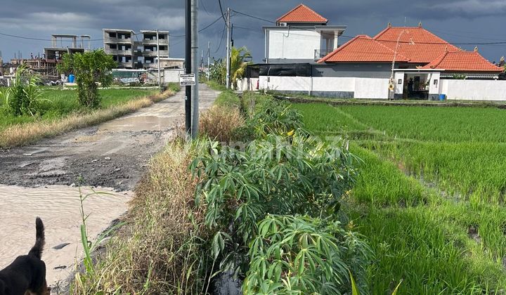For Rent Land 12 Are Shm In Seseh- Beach