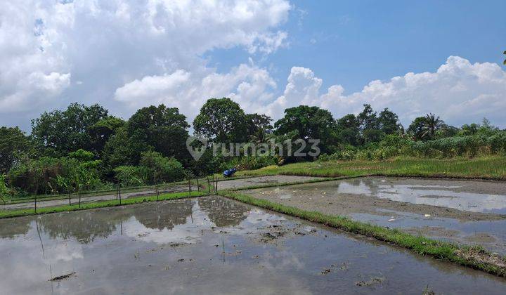 Land for Rent 20 are SHM Buwit Access 4 Meters 2