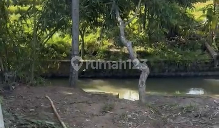 For Rent 3 Are Land with SHM in Cepaka.....