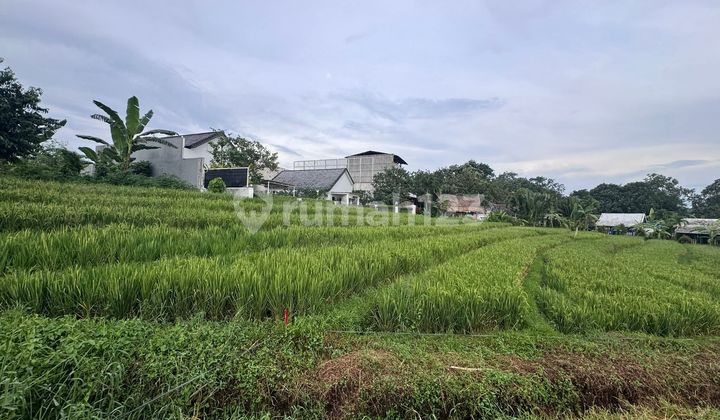 For Rent 42 Are Land with SHM in Tumbakbayuh