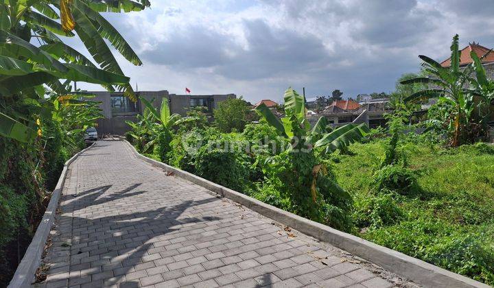 Land for rent 15 are SHM Canggu- Buduk 1