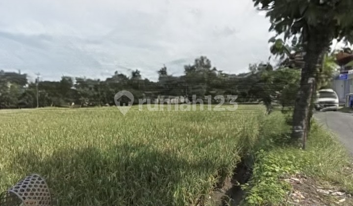 For Rent: 20 Are Land with SHM in Padonan, Canggu For Rent: 20 Are Land with SHM in Padonan, Canggu