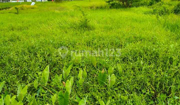 For Sale 10 Are Land SHM Near Cemagi Beach