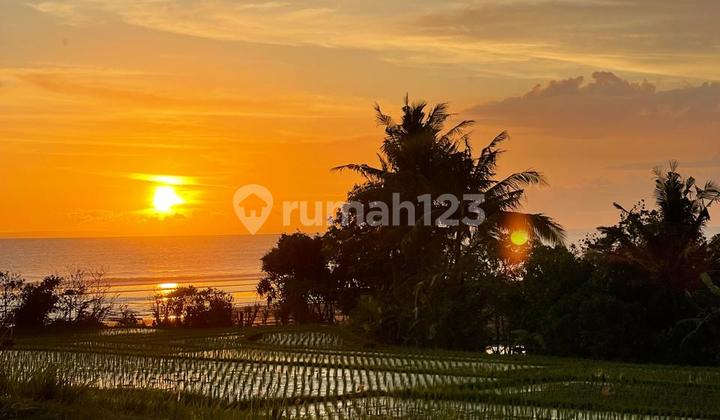 Dijual Tanah Di Tibubiyu - Pasut Shm 2600 M2  2