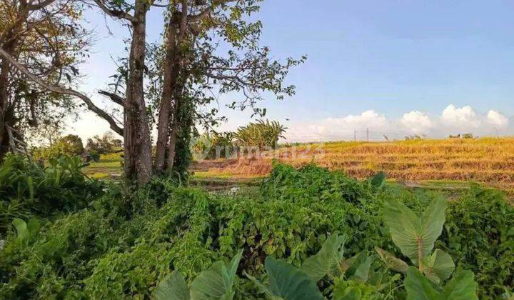 Tanah Cepaka., Sertifikat Hak Milik 10 Are 2