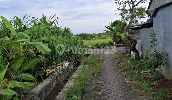 15 Are Lease Land in Canggu Padonan SHM. 15 Are Lease Land in Canggu Padonan SHM.