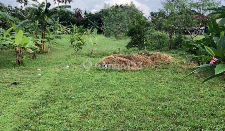 For Rent 10 Are SHM Land in Canggu-Berawa 1