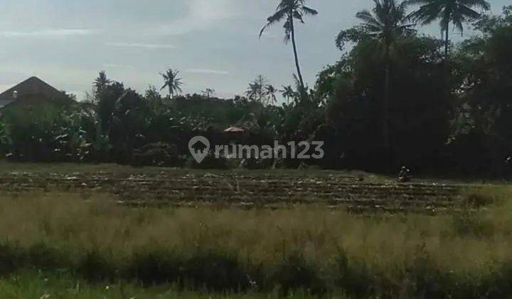 Land for rent 30 are SHM Buduk Yellow Zone 2