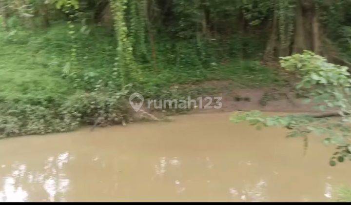 Tanah Cepaka - Bebengan Sertifikat Hak Milik 62 Are 2