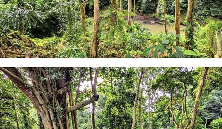 For Rent 33 Are Land with SHM in Cepaka- Kaba2