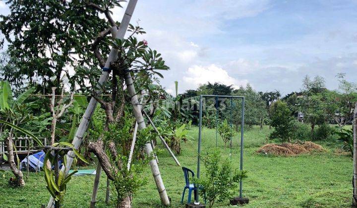 For Rent 10 Are SHM Land in Canggu-Berawa 2