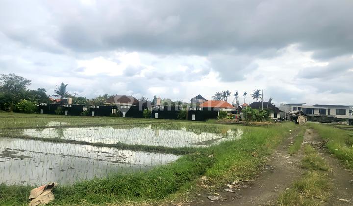 Disewakan Tanah 20 Are SHM di Cemagi ...