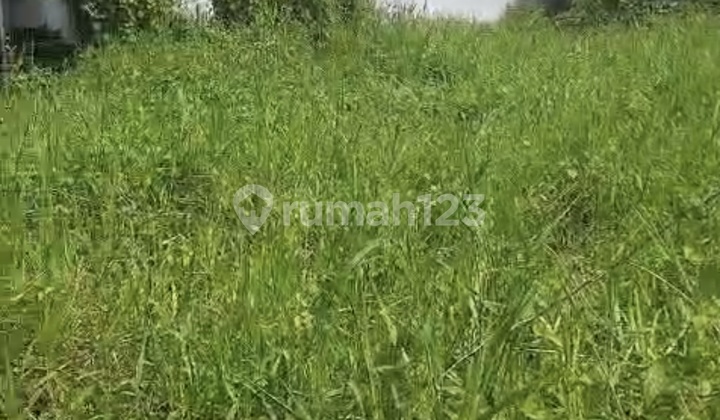 For Rent: 10 Are Land.shm In Cepaka .....