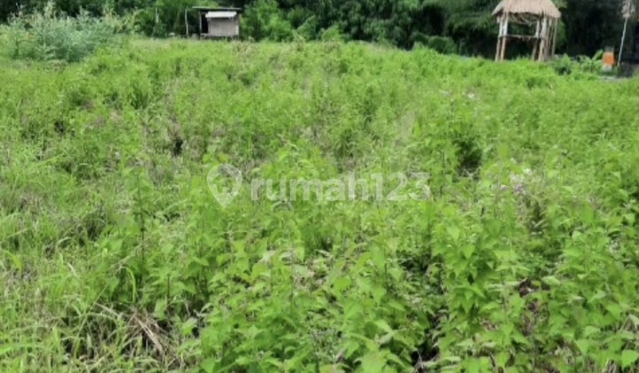 For Rent 20 Are Land with SHM in Munggu-Bantas.