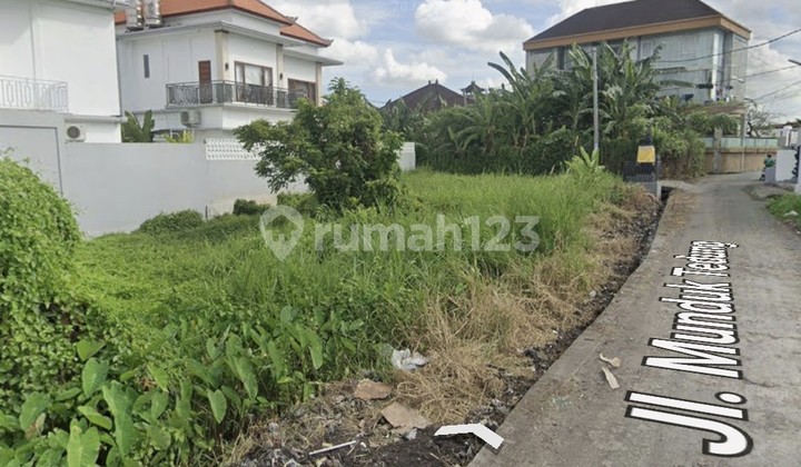 Disewakan Tanah 6 Are SHM di Canggu - Berawa Disewakan Tanah 6 Are SHM di Canggu - Berawa