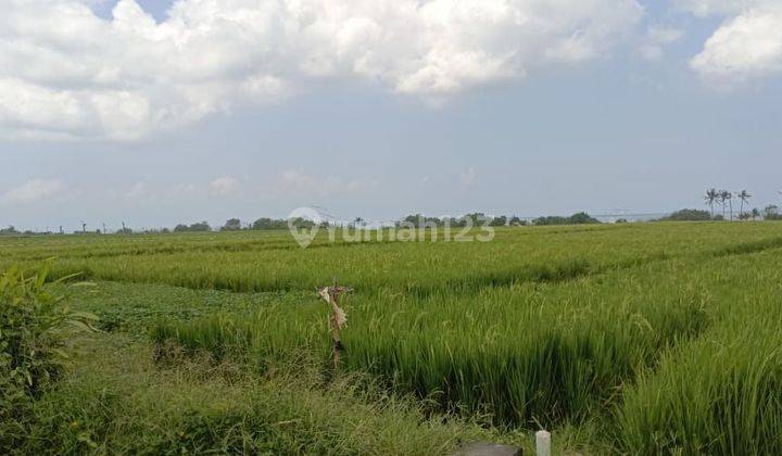 Land 1.44 hectares SHM Beach Front Pasut 1