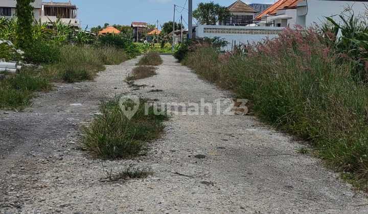 Disewakan.tanah 11 Are Shm Di Kerobokan Kelod