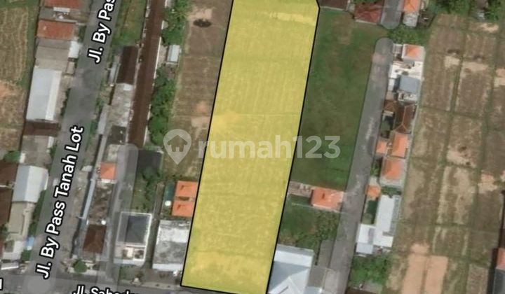 Disewakan Tanah 50 Are SHM di Munggu- Seseh Disewakan Tanah 50 Are SHM di Munggu- Seseh