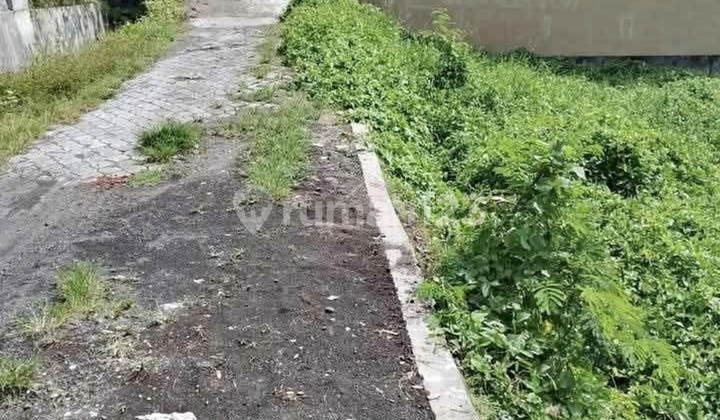 Land for Sale 21.8 Are with SHM in Canggu - Babakan Land for Sale 21.8 Are with SHM in Canggu - Babakan