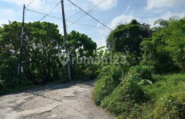 Disewakan Tanah 25 Are Shm Di Cepaka..... Disewakan Tanah 25 Are Shm Di Cepaka.....