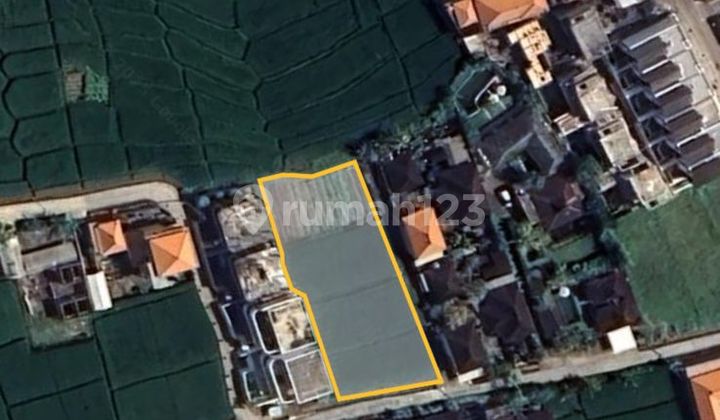 Disewakan Tanah 13 Are SHM di Cemagi....