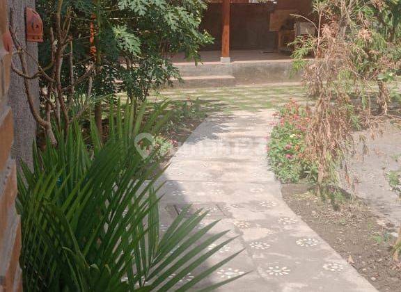 Villa For Rent 2 Lantai Shm Baru Jln Raya Tuka - Canggu 2