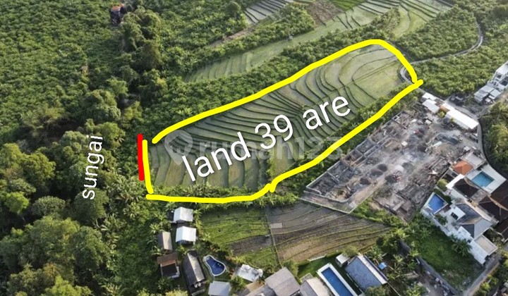 For Rent 39 Are Land with SHM in Tumbakbayuh For Rent 39 Are Land with SHM in Tumbakbayuh