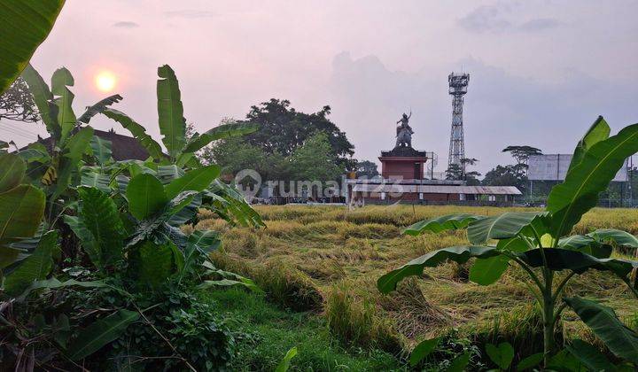 Land for rent 1.35 are SHM Canggu - Buduk 2