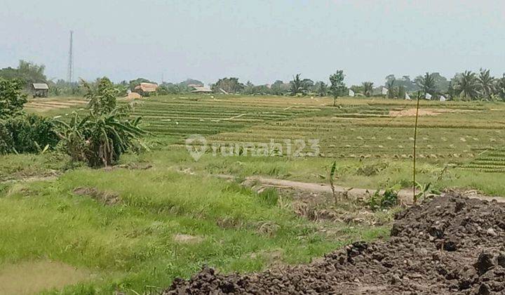 Tanah Di Kaba2 27 Are SHM - Sertifikat Hak Milik 1