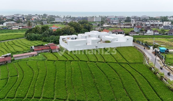 Land for Rent 16 Are SHM in Pererenan ... Land for Rent 16 Are SHM in Pererenan ...