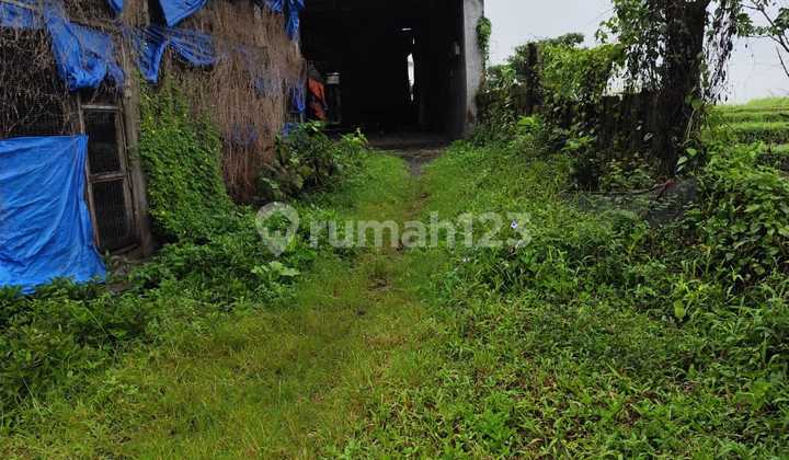 For Rent 34 Are Land with SHM in Kaba-Kaba..