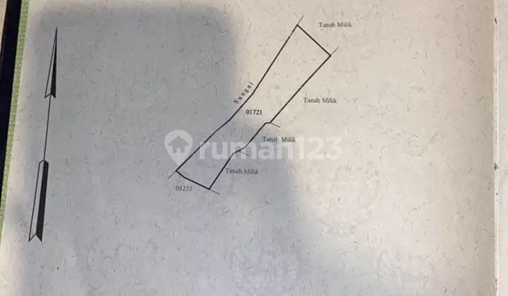 Disewakan Tanah 8 Are.shm Di Tumbak Bayuh