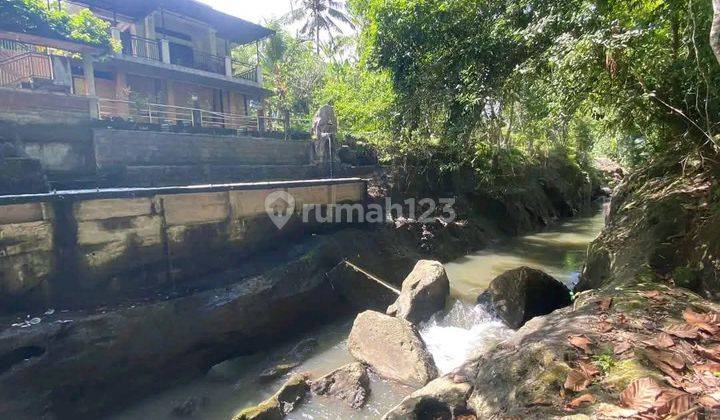 Tanah 50 Are Di Nyambu, Kaba Kaba SHM - Sertifikat Hak Milik 1