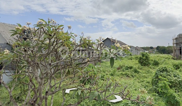 For Rent 22 Are Land with SHM in Pererenan