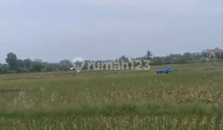 Dijual Tanah Luas 1.2 Hektar Shm Di Kedungu