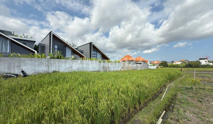 For Rent 44 Are Land with SHM in Seseh - Beach