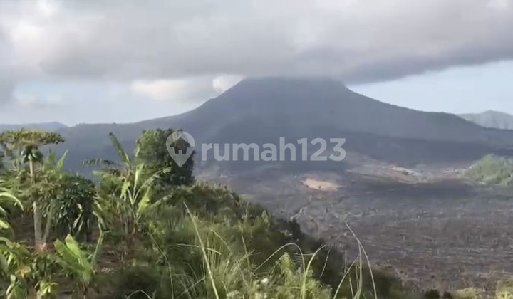 Land for Sale 55 Are with SHM in Kintamani....