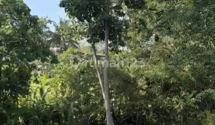 For Rent 3 Are Land with SHM in Cepaka.....