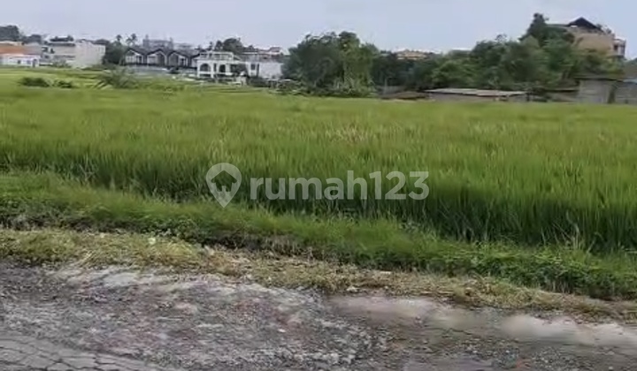 Land for Rent 10 Are SHM in Pererenan. Land for Rent 10 Are SHM in Pererenan.