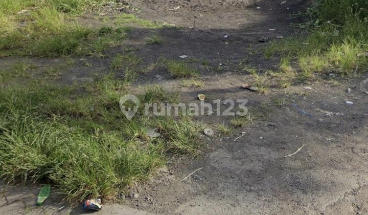 Disewakan Tanah 3 Are Shm Di Babakan - Canggu