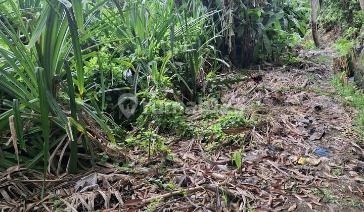 For Rent 20 Are Land with Certificate (SHM) in Seseh Beach