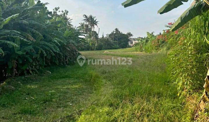 Tanah di tumbakbayuh, Pererenan SHM - Sertifikat Hak Milik 40 are 1