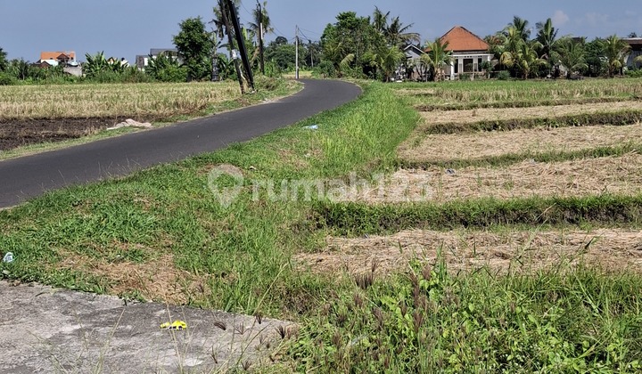 Dijual Tanah 23 Are.shm Di Kaba-kaba.....