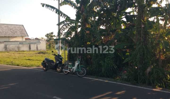 For Sale 9.25 Are Land with SHM in Canggu - Kayu Tulang. For Sale 9.25 Are Land with SHM in Canggu - Kayu Tulang.