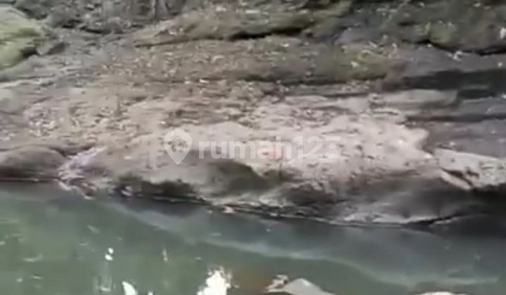 Disewakan Tanah 15 Are Shm Di Buwit Los Sungai