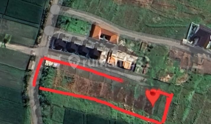 Disewakan Tanah 15 Are SHM di Seseh .....