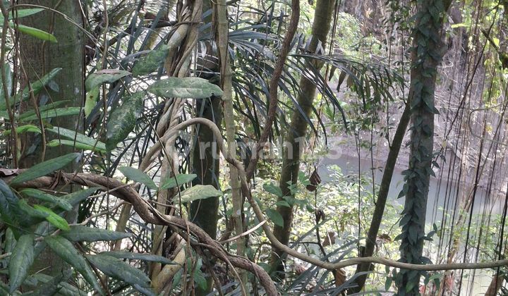 For Rent 20 Are Land with Certificate in Kaba-Kaba.. For Rent 20 Are Land with Certificate in Kaba-Kaba..