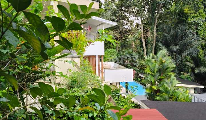 Land for Rent 10 Ares in Cepaka - Selingsing